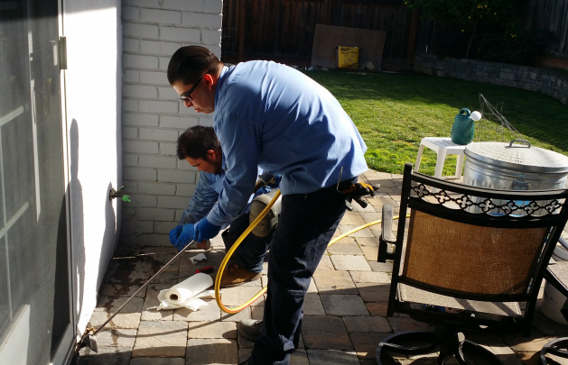 Spraying Treatment for Subterranean Termites