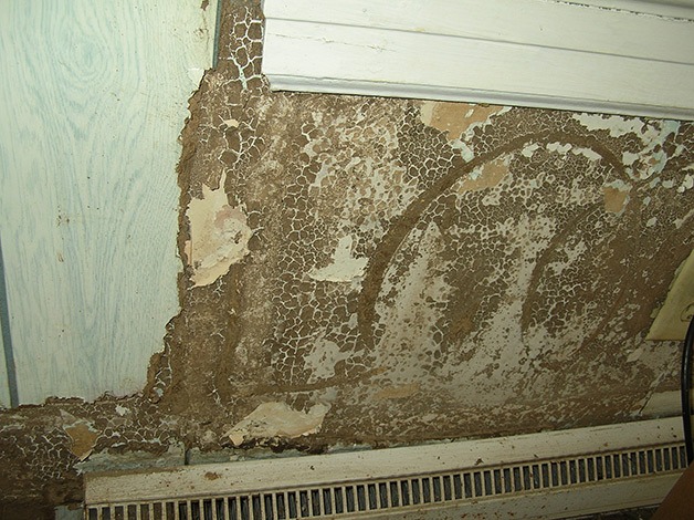 Termite Damage Repair