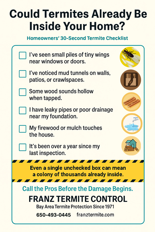 do i have termites checklist