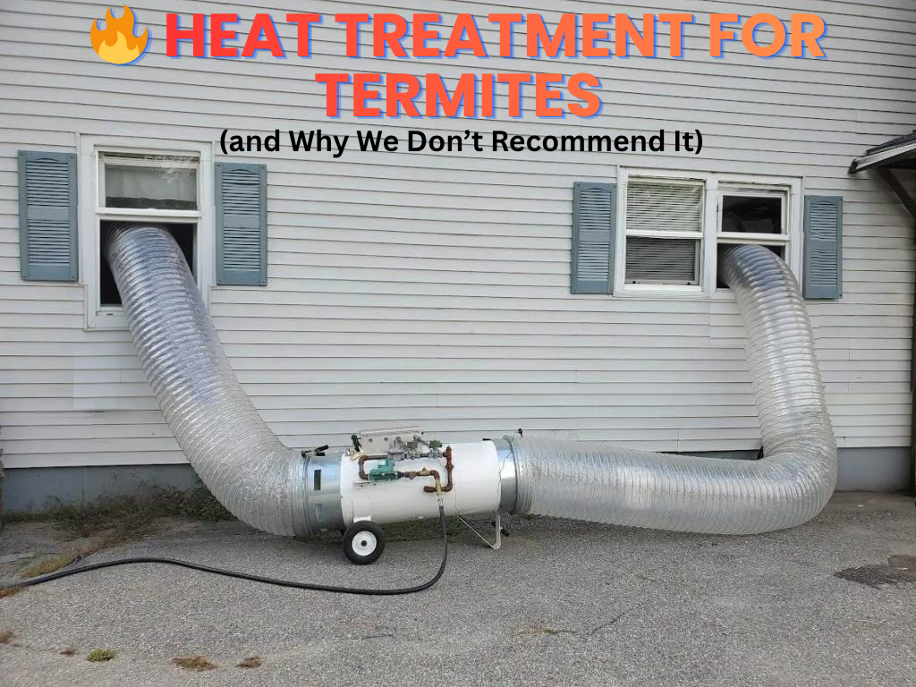 Heat Treatment for Termites